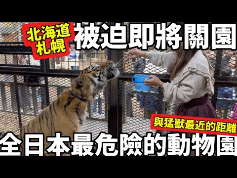 Sapporo, Hokkaido | Japan's most dangerous zoo | Closest encounter with wild animals | About to b...