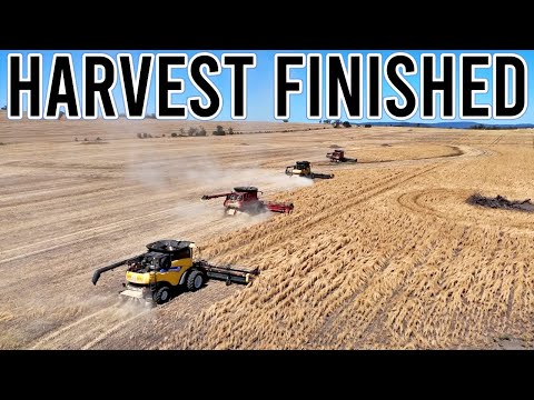 It's a Wrap! All Back Together to Get it Done! | Harvest 2025 Ep16 | Vlog 444