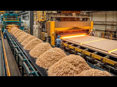 Как это сделано: Как из древесной пыли создают материал плотнее натурального дерева