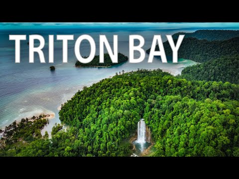 Papua’s Hidden Paradise - Whale Sharks & Waterfalls in Indonesia’s Far East