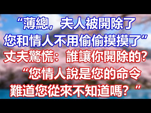 “薄總，夫人被開除了，您和情人不用偷偷摸摸的了”，丈夫驚慌：誰讓你開除的？“您情人說是您的命令，難道您從來不知道嗎？”