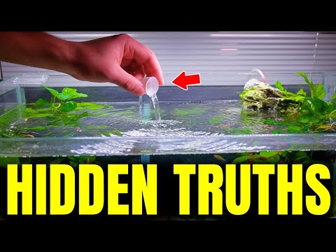 7 Dark Secrets Your LFS Doesn't Want You Know