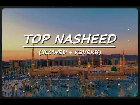 Top Nasheed (Slowed & Reverb) | Heart Touching Nasheed | Viral Nasheed | Exclusive Nasheed