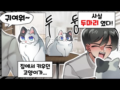 고양이 밥이 빨리 사라지던 이유 [만화게시판]