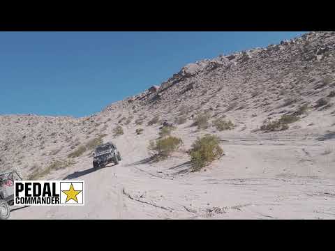 Big Tire Garage Live Stream