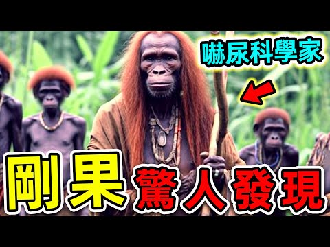 剛果最可怕的10個驚人發現！探險隊意外拍攝的恐怖畫面，第一名直接嚇尿科學家。|#世界之最top #世界之最 #出類拔萃 #腦洞大開 #top10 #剛果 #驚人發現