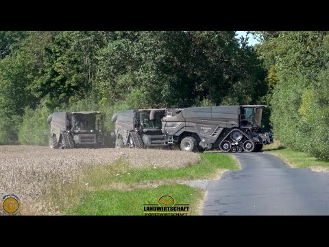 Die Uhr tickt! 4 Mähdrescher und eine gigantische Fläche! Wird sie heute Fertig?3 IDEAL T10 Weizen
