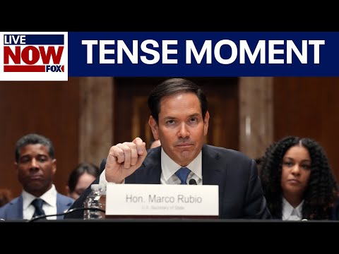 Rubio Senate hearing gets heated: 'This is not a game show'