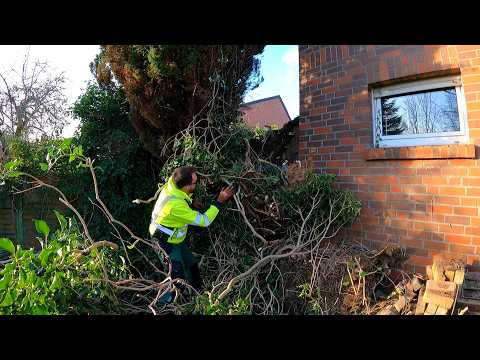 For More than TEN YEARS All this Was OVERGROWN and UNTOUCHED