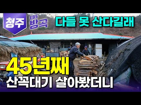[충북 청주] "욕심만 안 부리면 다 살아진다" 빈집만 남아도는 외딴 동네에 노부부만 남아 순박하게 45년, 진사골 꼭대기 단둘뿐인 오지살이｜#한국기행 #방방곡곡
