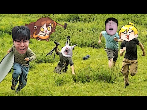 탬탬 누나 온다 튀어!