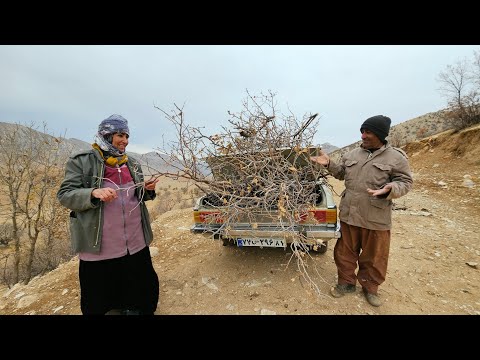 Winter Preparation: Can we get enough fuel for our new stove before the snow falls?