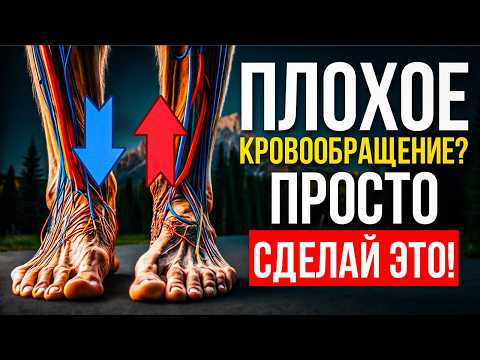 Improving blood circulation in your legs. 2 exercises = 100% results.