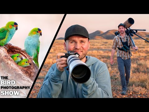 What Pros Keep QUIET! | The UNFILTERED TRUTH of Bird Photography
