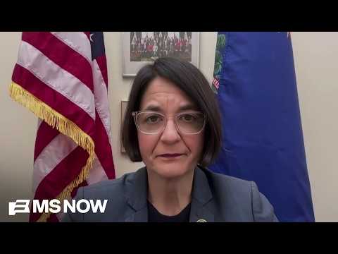 Rep. Balint: “This is the Epstein Administration.”