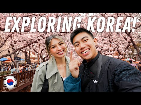 This is South Korea's Biggest Cherry Blossom Festival!🇰🇷