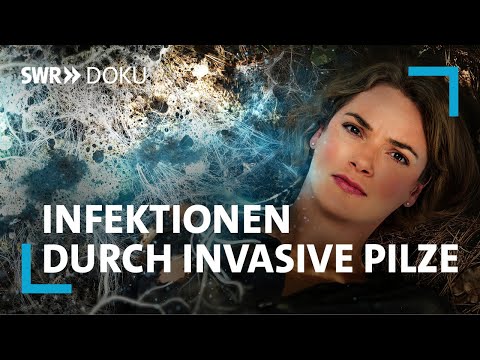 Invasive Pilze - wie sie zu lebensgefährlichen Erkrankungen führen | Lena Ganschow auf SWR Doku