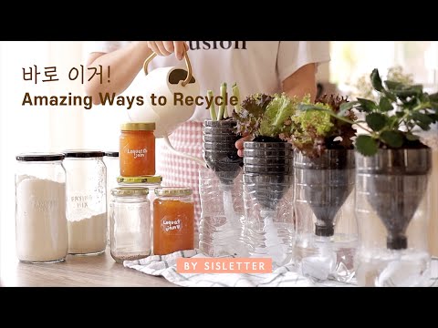 Amazing ways to reuse, recycle you must try/ Self-watering pot/ Korean seafood pancake