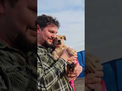 Not Every Puppy Makes It Out... But Chilli Did ❤️Please consider adopting. #puppy