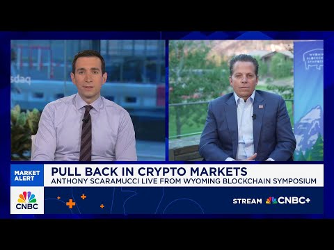 We maintain our $180k-$200k bitcoin price target by year-end, says SkyBridge's Anthony Scaramucci