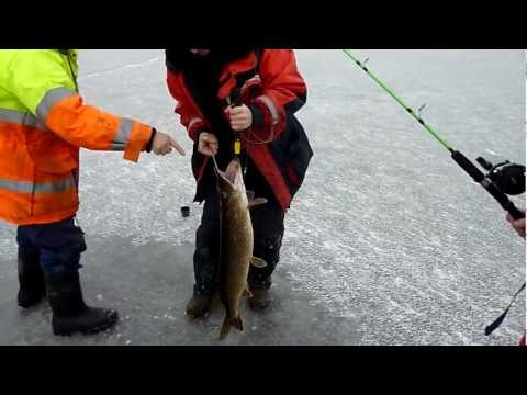 Henke's gädda på 6.20kg~