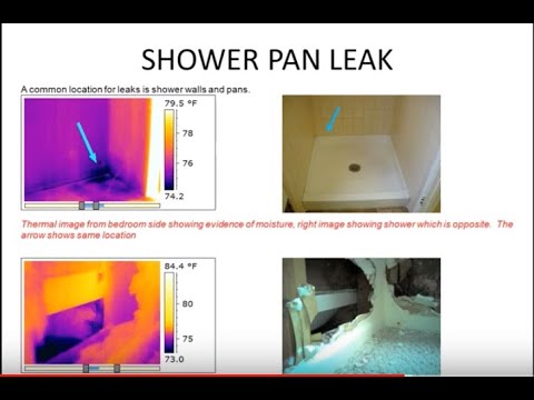 Infrared Cameras and Moisture Meters A winning team for moisture investigations and leak detection