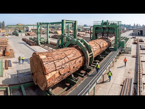 Inside the Wood Factory –The Process of Manufacturing Pianos from Raw Wood Blocks The Entire Process
