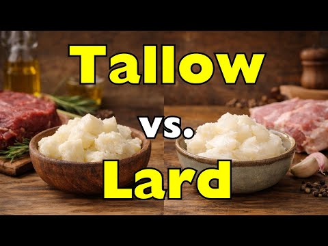 Tallow vs. Lard: What's the Real Difference? [ID2101]