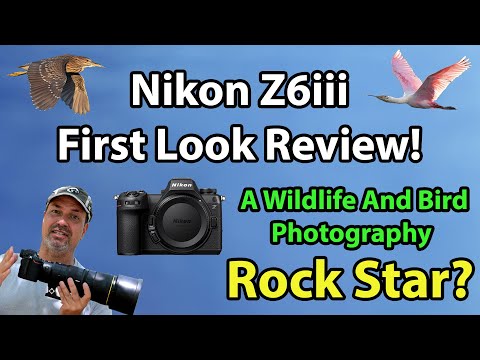 Nikon Z6iii Review For Wildlife And Bird Photographers (First Look Review!)