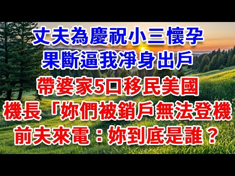 丈夫為慶祝小三懷孕，果斷逼我凈身出戶，帶婆家5口移民美國，機長「妳們被銷戶了無法登機」前夫打我66通電話：妳到底是誰？#詩涵講故事#為人處世#生活經驗#情感故事#晚年哲理#說故事#完結文#原創故事
