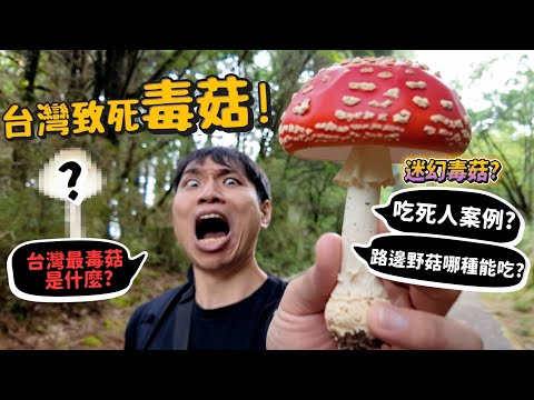 【從零開始養】台灣致死毒菇!10種毒菇介紹!毒菇路邊有?第二高山大雪山尋毒菇?迷幻?拉肚子?路邊野菇能吃嗎?【許伯簡芝】