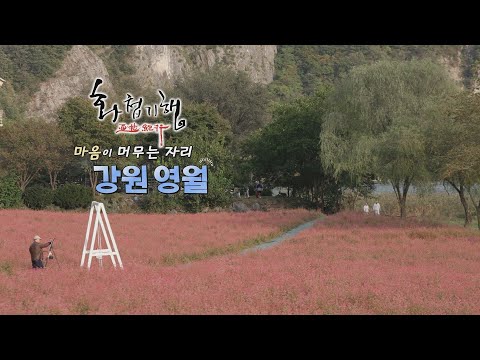 화첩기행 마음이 머무는 자리 - 영월