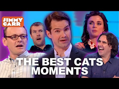 The BEST Cats Moments - With Aisling Bea, Sean Lock, Micky Flanagan, Rhod Gilbert & More