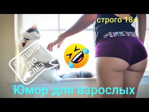 Смешные😂Smile😂Подборка весёлых видео😂Prank😂Я ржал до слёз 😂10 мин юмора😂Лучшие #приколы 😂