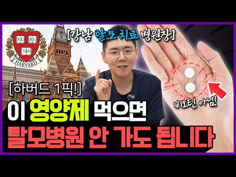 하버드 의대 연구진이 밝힌 탈모 영양제, 딱 2가지만 기억하세요.