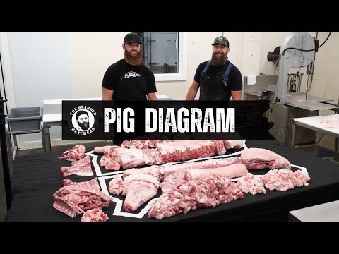 A Visual Guide to the Cuts of a Pig: Where Every Pork Cut Comes From | By The Bearded Butchers