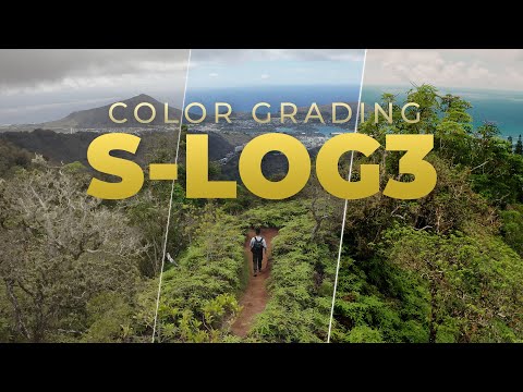 How to Color Grade S-LOG3 in Premiere Pro!
