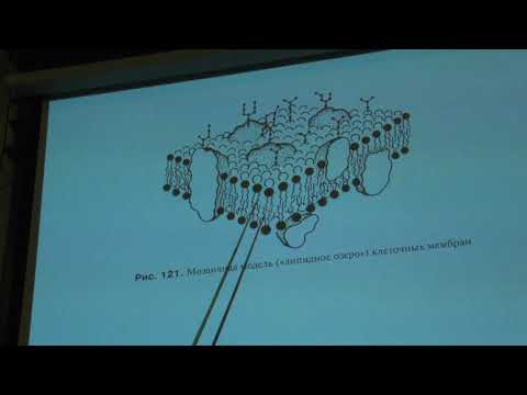 Тимонин А. К. - Высшие растения - 1. Строение про- и эукариотической клетки
