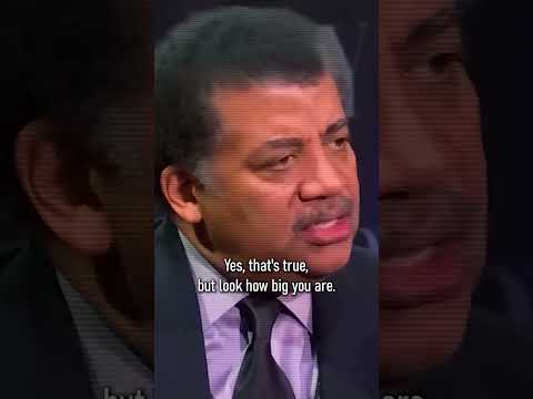 We Are Stardust | Neil deGrasse Tyson #science #poetic