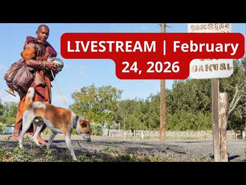 Livestream: You Don't Want to Miss This! Venerable Phiyathammoo and Aloka | Walk for Peace