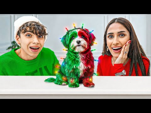 صبغنا كلبنا اوسكار احمر و اخضر 🐕 (مع اضواء)