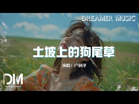土坡上的狗尾草 - 盧潤澤『土坡上狗尾巴草搖啊，搖得人眼淚掉』【動態歌詞】