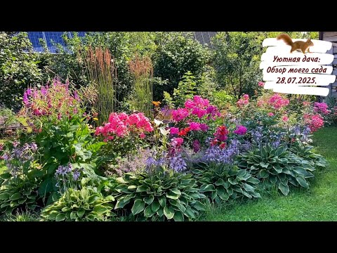  Уютная дача: Обзор моего сада 28.07.2025.