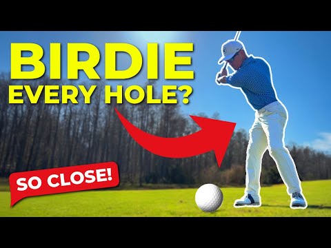 3 Holes. 3 Birdies. Is it Possible? | The 3 Hole Challenge