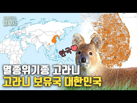 멸종위기종 고라니 보유국! 한국은 어쩌다 고라니 보유국이 되었나?
