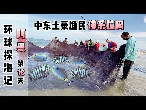 《环球探海记》阿曼~第12天：中东土豪渔民们的佛系拉网，急得我赶忙上去帮忙！