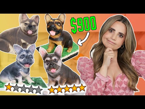 I PAID Bakeries $900 EACH to BAKE MY DOG!