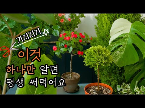 [4K] When pruning, if you know this one thing, you will never fail