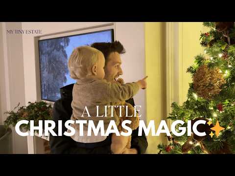 Our Georgian Window Restoration Reveal + A Sweet Christmas Tradition 🎄✨