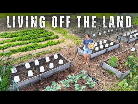 FOOD SECURITY Starts HERE (planting our BIGGEST crops!)